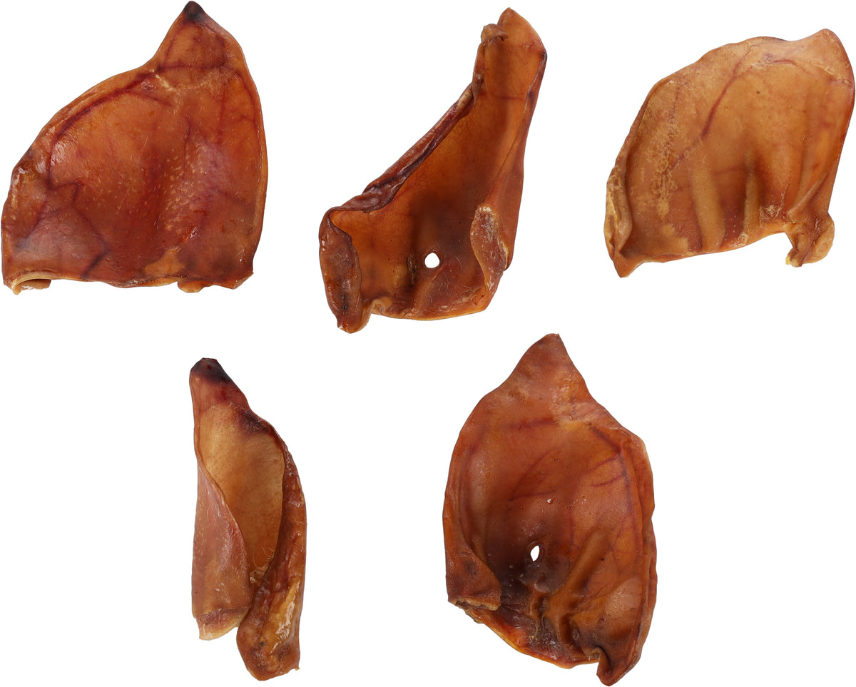 Oreille de Porc